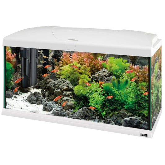 CAPRI 80 LED PLUS Acquario da 100 Litri ¨C Illuminazione LED Avanzata e Sistema di Filtrazione BluWave(Bianco)